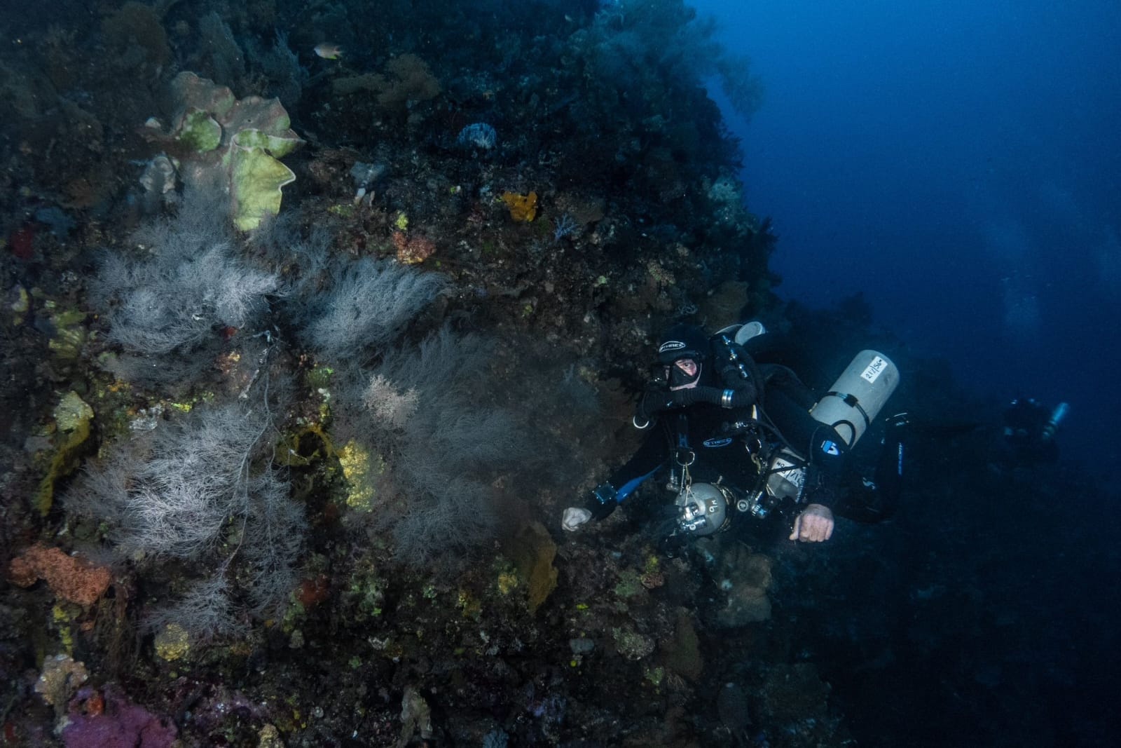 Technical CCR diver exploring a deep coral wall during advanced rebreather training with Black Water Tek.